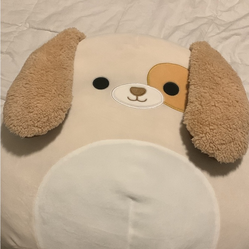 Harrison squishmallow